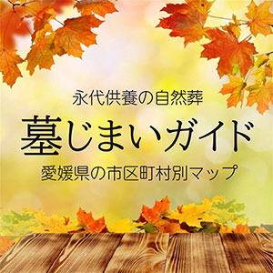 愛媛県の墓じまいと散骨ガイド