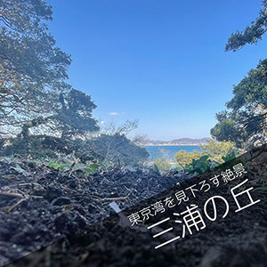 三浦の山林散骨自然葬