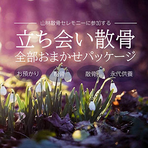 山林散骨・立ち会い散骨プラン