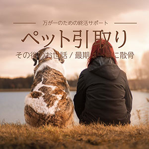 ペットの引き取り