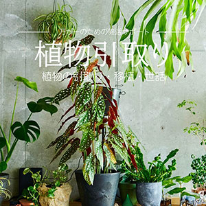 植物の引き取り