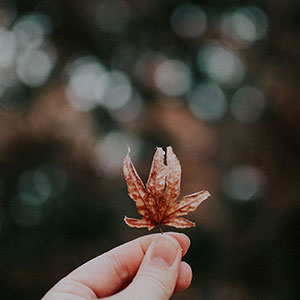 変化する弔いのカタチ