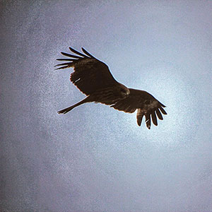 驚くべきチベットの葬儀