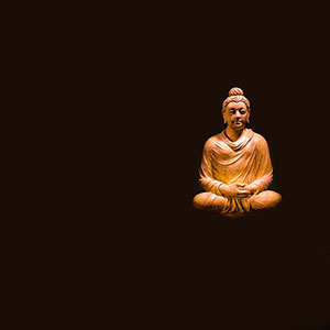 お釈迦様も生まれる前は動物だったという話