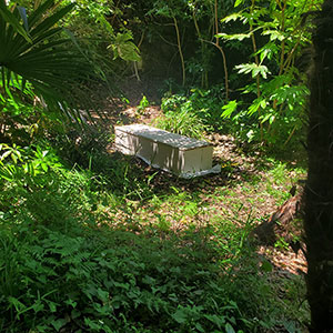 土葬は禁止されてますか？