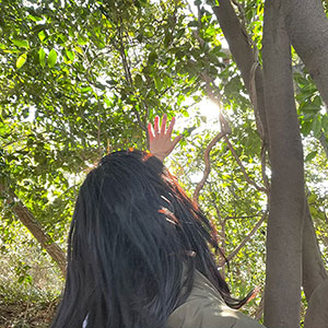 樹木葬と永代供養の違い