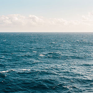 散骨に関する調査結果